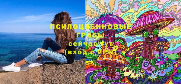 PSILOCYBIN Володарск